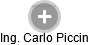  Carlo P. - Vizualizace  propojení osoby a firem v obchodním rejstříku