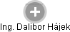  Dalibor H. - Vizualizace  propojení osoby a firem v obchodním rejstříku