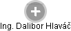 Dalibor Hlaváč - Vizualizace  propojení osoby a firem v obchodním rejstříku