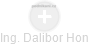 Dalibor Hon - Vizualizace  propojení osoby a firem v obchodním rejstříku