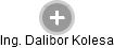 Dalibor Kolesa - Vizualizace  propojení osoby a firem v obchodním rejstříku