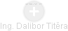  Dalibor T. - Vizualizace  propojení osoby a firem v obchodním rejstříku