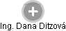 Dana Ditzová - Vizualizace  propojení osoby a firem v obchodním rejstříku