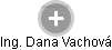  Dana V. - Vizualizace  propojení osoby a firem v obchodním rejstříku