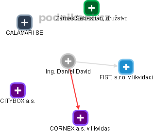 Daniel David - Vizualizace  propojení osoby a firem v obchodním rejstříku
