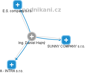 Daniel Hajný - Vizualizace  propojení osoby a firem v obchodním rejstříku
