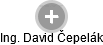  David Č. - Vizualizace  propojení osoby a firem v obchodním rejstříku