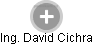 David Cichra - Vizualizace  propojení osoby a firem v obchodním rejstříku