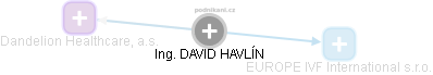 DAVID HAVLÍN - Vizualizace  propojení osoby a firem v obchodním rejstříku