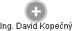 David Kopečný - Vizualizace  propojení osoby a firem v obchodním rejstříku