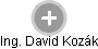 David Kozák - Vizualizace  propojení osoby a firem v obchodním rejstříku