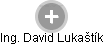 David Lukaštík - Vizualizace  propojení osoby a firem v obchodním rejstříku
