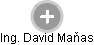 David Maňas - Vizualizace  propojení osoby a firem v obchodním rejstříku