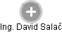 David Salač - Vizualizace  propojení osoby a firem v obchodním rejstříku