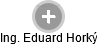  Eduard H. - Vizualizace  propojení osoby a firem v obchodním rejstříku