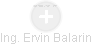  Ervin B. - Vizualizace  propojení osoby a firem v obchodním rejstříku