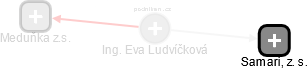  Eva L. - Vizualizace  propojení osoby a firem v obchodním rejstříku