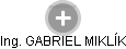  Gabriel M. - Vizualizace  propojení osoby a firem v obchodním rejstříku