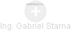 Gabriel Starna - Vizualizace  propojení osoby a firem v obchodním rejstříku