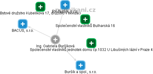 Gabriela Buršíková - Vizualizace  propojení osoby a firem v obchodním rejstříku