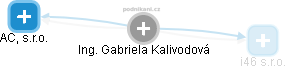  Gabriela K. - Vizualizace  propojení osoby a firem v obchodním rejstříku
