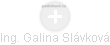  Galina S. - Vizualizace  propojení osoby a firem v obchodním rejstříku