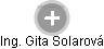  Gita S. - Vizualizace  propojení osoby a firem v obchodním rejstříku