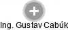 Gustav Cabúk - Vizualizace  propojení osoby a firem v obchodním rejstříku