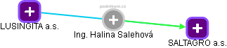 Halina Salehová - Vizualizace  propojení osoby a firem v obchodním rejstříku