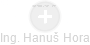  Hanuš H. - Vizualizace  propojení osoby a firem v obchodním rejstříku