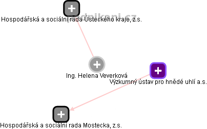 Helena Veverková - Vizualizace  propojení osoby a firem v obchodním rejstříku