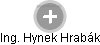  Hynek H. - Vizualizace  propojení osoby a firem v obchodním rejstříku