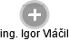  Igor V. - Vizualizace  propojení osoby a firem v obchodním rejstříku