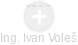 Ivan Voleš - Vizualizace  propojení osoby a firem v obchodním rejstříku