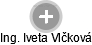  Iveta V. - Vizualizace  propojení osoby a firem v obchodním rejstříku