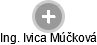  Ivica M. - Vizualizace  propojení osoby a firem v obchodním rejstříku
