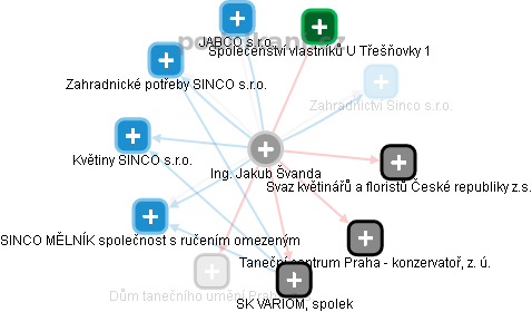 Jakub Švanda - Vizualizace  propojení osoby a firem v obchodním rejstříku