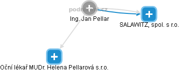Jan Pellar - Vizualizace  propojení osoby a firem v obchodním rejstříku