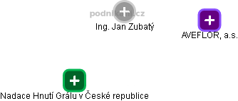 Jan Zubatý - Vizualizace  propojení osoby a firem v obchodním rejstříku