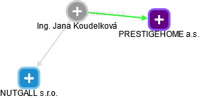 Jana Koudelková - Vizualizace  propojení osoby a firem v obchodním rejstříku