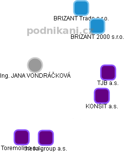 JANA VONDRÁČKOVÁ - Vizualizace  propojení osoby a firem v obchodním rejstříku