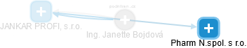 Janette Bojdová - Vizualizace  propojení osoby a firem v obchodním rejstříku