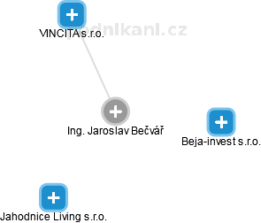  Bečvář J. - Vizualizace  propojení osoby a firem v obchodním rejstříku