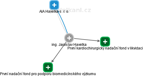 Jaroslav Havelka - Vizualizace  propojení osoby a firem v obchodním rejstříku