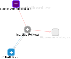 Jitka Pyšková - Vizualizace  propojení osoby a firem v obchodním rejstříku