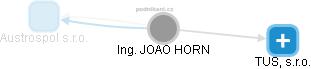 JOAO HORN - Vizualizace  propojení osoby a firem v obchodním rejstříku