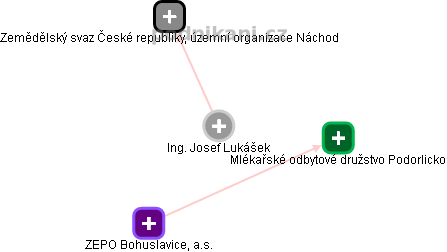 Josef Lukášek - Vizualizace  propojení osoby a firem v obchodním rejstříku