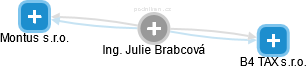  Julie B. - Vizualizace  propojení osoby a firem v obchodním rejstříku