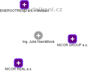 Julie Navrátilová - Vizualizace  propojení osoby a firem v obchodním rejstříku
