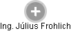 Július Frohlich - Vizualizace  propojení osoby a firem v obchodním rejstříku
